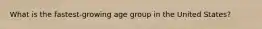 What is the fastest-growing age group in the United States?