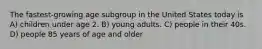 The fastest-growing age subgroup in the United States today is A) children under age 2. B) young adults. C) people in their 40s. D) people 85 years of age and older