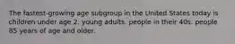 The fastest-growing age subgroup in the United States today is children under age 2. young adults. people in their 40s. people 85 years of age and older.