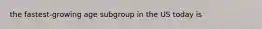 the fastest-growing age subgroup in the US today is