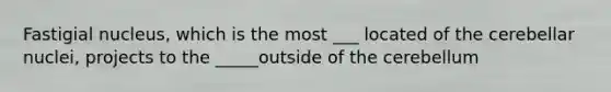 Fastigial nucleus, which is the most ___ located of the cerebellar nuclei, projects to the _____outside of the cerebellum