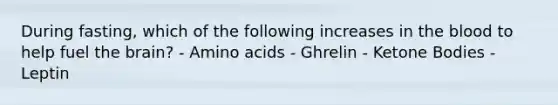 During fasting, which of the following increases in the blood to help fuel the brain? - Amino acids - Ghrelin - Ketone Bodies - Leptin