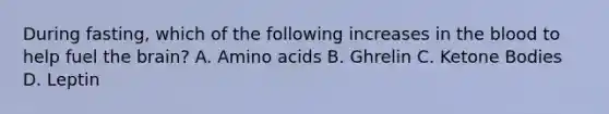 During fasting, which of the following increases in <a href='https://www.questionai.com/knowledge/k7oXMfj7lk-the-blood' class='anchor-knowledge'>the blood</a> to help fuel <a href='https://www.questionai.com/knowledge/kLMtJeqKp6-the-brain' class='anchor-knowledge'>the brain</a>? A. <a href='https://www.questionai.com/knowledge/k9gb720LCl-amino-acids' class='anchor-knowledge'>amino acids</a> B. Ghrelin C. Ketone Bodies D. Leptin
