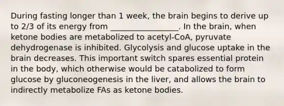 During fasting longer than 1 week, the brain begins to derive up to 2/3 of its energy from _________________. In the brain, when ketone bodies are metabolized to acetyl-CoA, pyruvate dehydrogenase is inhibited. Glycolysis and glucose uptake in the brain decreases. This important switch spares essential protein in the body, which otherwise would be catabolized to form glucose by gluconeogenesis in the liver, and allows the brain to indirectly metabolize FAs as ketone bodies.