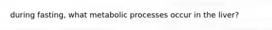 during fasting, what metabolic processes occur in the liver?