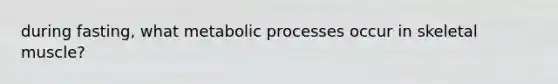 during fasting, what metabolic processes occur in skeletal muscle?