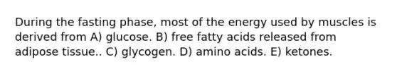 During the fasting phase, most of the energy used by muscles is derived from A) glucose. B) free fatty acids released from adipose tissue.. C) glycogen. D) amino acids. E) ketones.