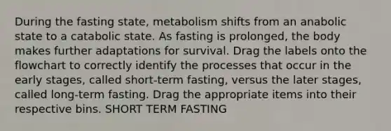 During the fasting state, metabolism shifts from an anabolic state to a catabolic state. As fasting is prolonged, the body makes further adaptations for survival. Drag the labels onto the flowchart to correctly identify the processes that occur in the early stages, called short-term fasting, versus the later stages, called long-term fasting. Drag the appropriate items into their respective bins. SHORT TERM FASTING