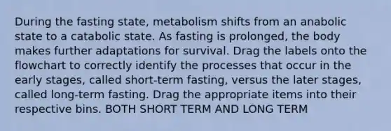 During the fasting state, metabolism shifts from an anabolic state to a catabolic state. As fasting is prolonged, the body makes further adaptations for survival. Drag the labels onto the flowchart to correctly identify the processes that occur in the early stages, called short-term fasting, versus the later stages, called long-term fasting. Drag the appropriate items into their respective bins. BOTH SHORT TERM AND LONG TERM