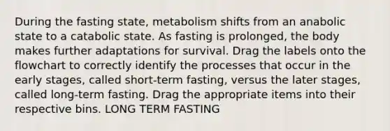 During the fasting state, metabolism shifts from an anabolic state to a catabolic state. As fasting is prolonged, the body makes further adaptations for survival. Drag the labels onto the flowchart to correctly identify the processes that occur in the early stages, called short-term fasting, versus the later stages, called long-term fasting. Drag the appropriate items into their respective bins. LONG TERM FASTING