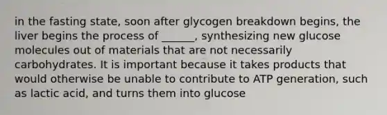 in the fasting state, soon after glycogen breakdown begins, the liver begins the process of ______, synthesizing new glucose molecules out of materials that are not necessarily carbohydrates. It is important because it takes products that would otherwise be unable to contribute to ATP generation, such as lactic acid, and turns them into glucose