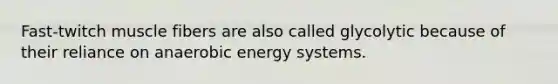 Fast-twitch muscle fibers are also called glycolytic because of their reliance on anaerobic energy systems.