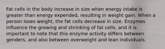 Fat cells in the body increase in size when energy intake is greater than energy expended, resulting in weight gain. When a person loses weight, the fat cells decrease in size. Enzymes influence the growing and shrinking of fat cells, and it is important to note that this enzyme activity differs between genders, and also between overweight and lean individuals.