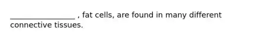 _________________ , fat cells, are found in many different connective tissues.