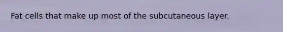 Fat cells that make up most of the subcutaneous layer.