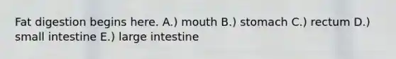 Fat digestion begins here. A.) mouth B.) stomach C.) rectum D.) small intestine E.) large intestine