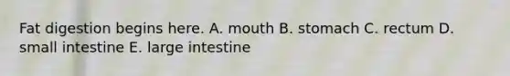 Fat digestion begins here. A. mouth B. stomach C. rectum D. small intestine E. <a href='https://www.questionai.com/knowledge/kGQjby07OK-large-intestine' class='anchor-knowledge'>large intestine</a>