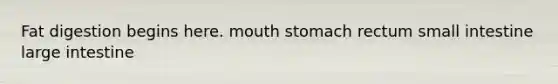 Fat digestion begins here. mouth stomach rectum small intestine large intestine