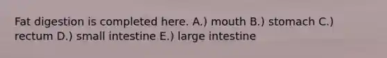 Fat digestion is completed here. A.) mouth B.) stomach C.) rectum D.) small intestine E.) large intestine