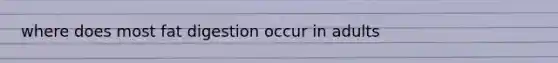 where does most fat digestion occur in adults