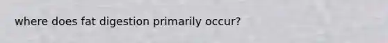 where does fat digestion primarily occur?