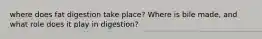 where does fat digestion take place? Where is bile made, and what role does it play in digestion?