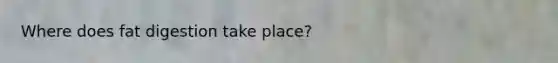 Where does fat digestion take place?