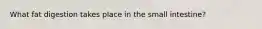 What fat digestion takes place in the small intestine?