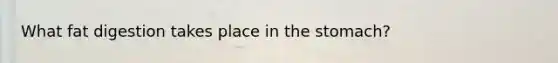 What fat digestion takes place in the stomach?