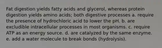 Fat digestion yields fatty acids and glycerol, whereas protein digestion yields amino acids; both digestive processes a. require the presence of hydrochloric acid to lower the pH. b. are excludible intracellular processes in most organisms. c. require ATP as an energy source. d. are catalyzed by the same enzyme. e. add a water molecule to break bonds (hydrolysis).