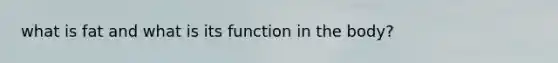 what is fat and what is its function in the body?