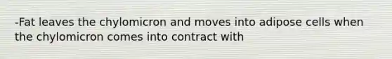 -Fat leaves the chylomicron and moves into adipose cells when the chylomicron comes into contract with