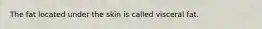 The fat located under the skin is called visceral fat.