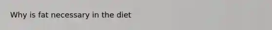 Why is fat necessary in the diet