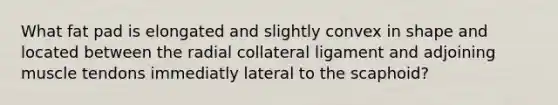 What fat pad is elongated and slightly convex in shape and located between the radial collateral ligament and adjoining muscle tendons immediatly lateral to the scaphoid?