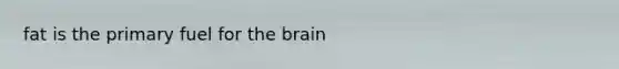 fat is the primary fuel for the brain