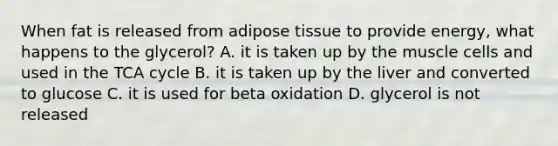 When fat is released from adipose tissue to provide energy, what happens to the glycerol? A. it is taken up by the muscle cells and used in the TCA cycle B. it is taken up by the liver and converted to glucose C. it is used for beta oxidation D. glycerol is not released