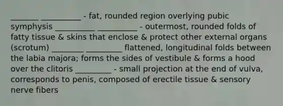 _______ __________ - fat, rounded region overlying pubic symphysis __________ __________ - outermost, rounded folds of fatty tissue & skins that enclose & protect other external organs (scrotum) ________ _________ flattened, longitudinal folds between the labia majora; forms the sides of vestibule & forms a hood over the clitoris _________ - small projection at the end of vulva, corresponds to penis, composed of erectile tissue & sensory nerve fibers