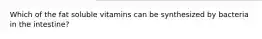 Which of the fat soluble vitamins can be synthesized by bacteria in the intestine?