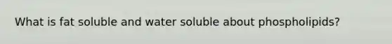 What is fat soluble and water soluble about phospholipids?