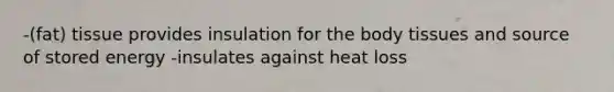 -(fat) tissue provides insulation for the body tissues and source of stored energy -insulates against heat loss