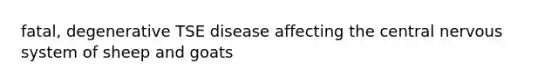 fatal, degenerative TSE disease affecting the central nervous system of sheep and goats