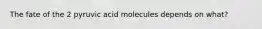 The fate of the 2 pyruvic acid molecules depends on what?