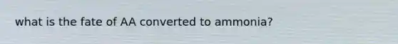 what is the fate of AA converted to ammonia?