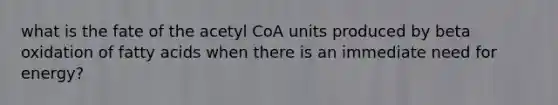 what is the fate of the acetyl CoA units produced by beta oxidation of fatty acids when there is an immediate need for energy?