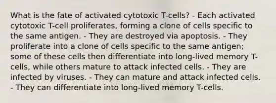 What is the fate of activated cytotoxic T-cells? - Each activated cytotoxic T-cell proliferates, forming a clone of cells specific to the same antigen. - They are destroyed via apoptosis. - They proliferate into a clone of cells specific to the same antigen; some of these cells then differentiate into long-lived memory T-cells, while others mature to attack infected cells. - They are infected by viruses. - They can mature and attack infected cells. - They can differentiate into long-lived memory T-cells.