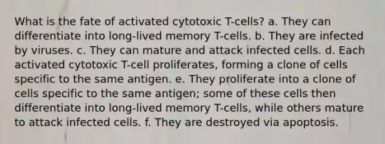 What is the fate of activated cytotoxic T-cells? a. They can differentiate into long-lived memory T-cells. b. They are infected by viruses. c. They can mature and attack infected cells. d. Each activated cytotoxic T-cell proliferates, forming a clone of cells specific to the same antigen. e. They proliferate into a clone of cells specific to the same antigen; some of these cells then differentiate into long-lived memory T-cells, while others mature to attack infected cells. f. They are destroyed via apoptosis.