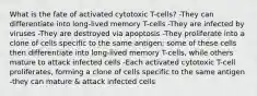 What is the fate of activated cytotoxic T-cells? -They can differentiate into long-lived memory T-cells -They are infected by viruses -They are destroyed via apoptosis -They proliferate into a clone of cells specific to the same antigen; some of these cells then differentiate into long-lived memory T-cells, while others mature to attack infected cells -Each activated cytotoxic T-cell proliferates, forming a clone of cells specific to the same antigen -they can mature & attack infected cells