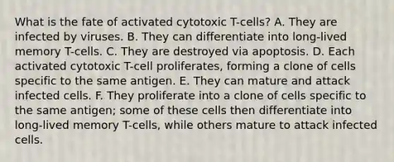 What is the fate of activated cytotoxic T-cells? A. They are infected by viruses. B. They can differentiate into long-lived memory T-cells. C. They are destroyed via apoptosis. D. Each activated cytotoxic T-cell proliferates, forming a clone of cells specific to the same antigen. E. They can mature and attack infected cells. F. They proliferate into a clone of cells specific to the same antigen; some of these cells then differentiate into long-lived memory T-cells, while others mature to attack infected cells.