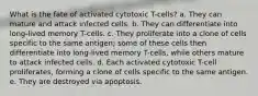 What is the fate of activated cytotoxic T-cells? a. They can mature and attack infected cells. b. They can differentiate into long-lived memory T-cells. c. They proliferate into a clone of cells specific to the same antigen; some of these cells then differentiate into long-lived memory T-cells, while others mature to attack infected cells. d. Each activated cytotoxic T-cell proliferates, forming a clone of cells specific to the same antigen. e. They are destroyed via apoptosis.